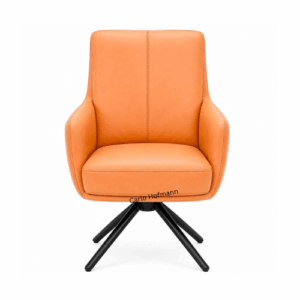Kartell Dining Chair